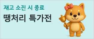 땡처리특가전